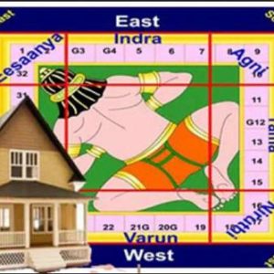 Vaastu consultation